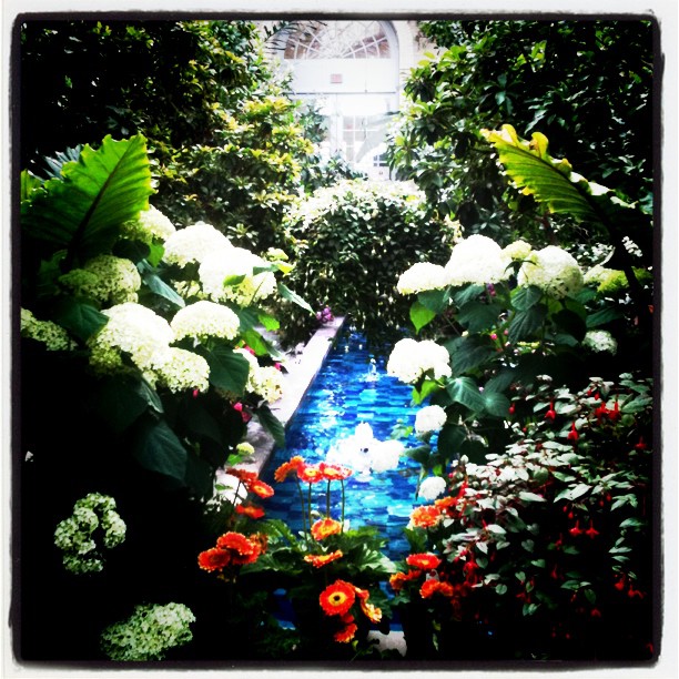 Read more about the article United States Botanic Garden in Washington, DC