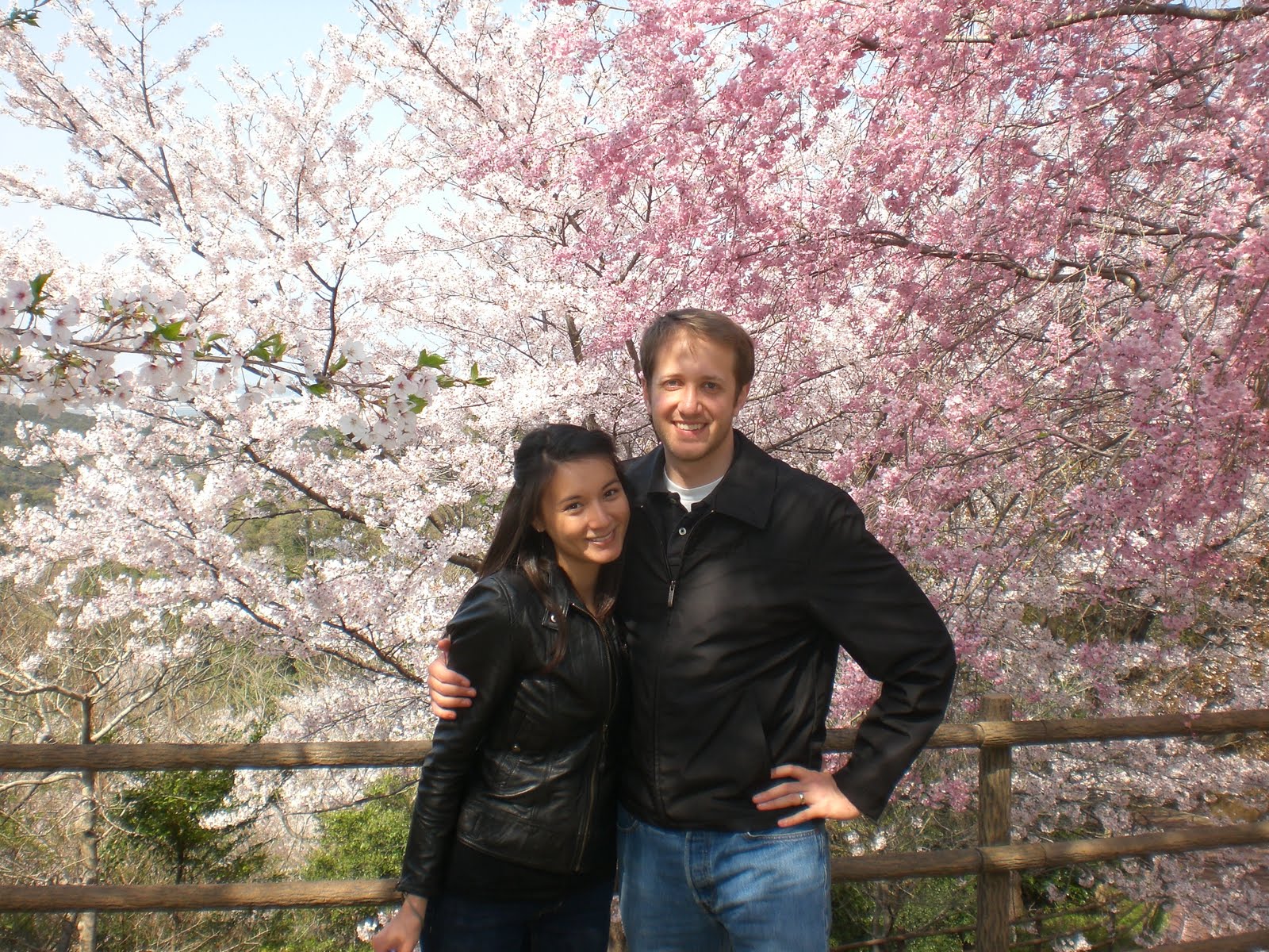 You are currently viewing Cherry Blossoms at Komatsushima Park, Shikoku, Japan