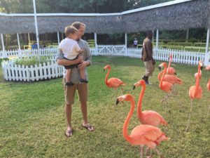 Read more about the article Thanksgiving Day with Flamingos & Pirates in The Bahamas