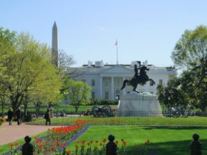 Read more about the article Springtime Tour of Washington, DC