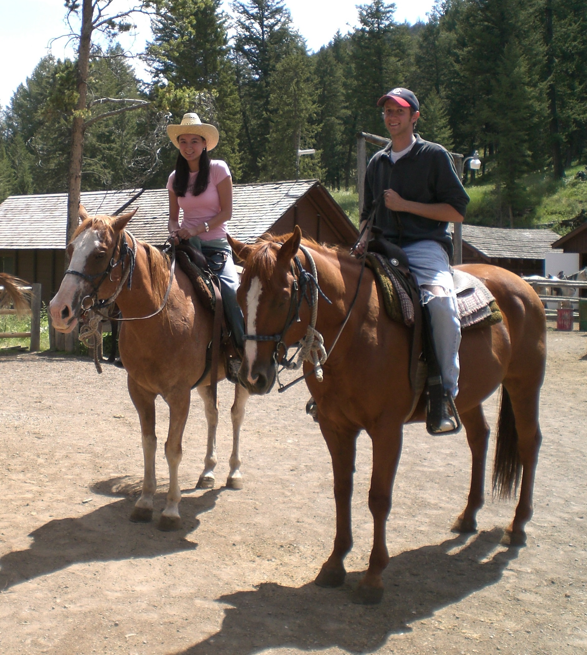 You are currently viewing Horseback Riding in Pleasant Valley, Yellowstone National Park