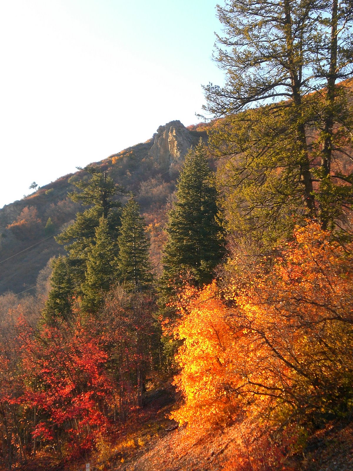 Read more about the article Fall Colors in Millcreek Canyon, Utah