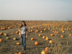 Read more about the article Pack’s Pumpkin Patch in Farmington, Utah