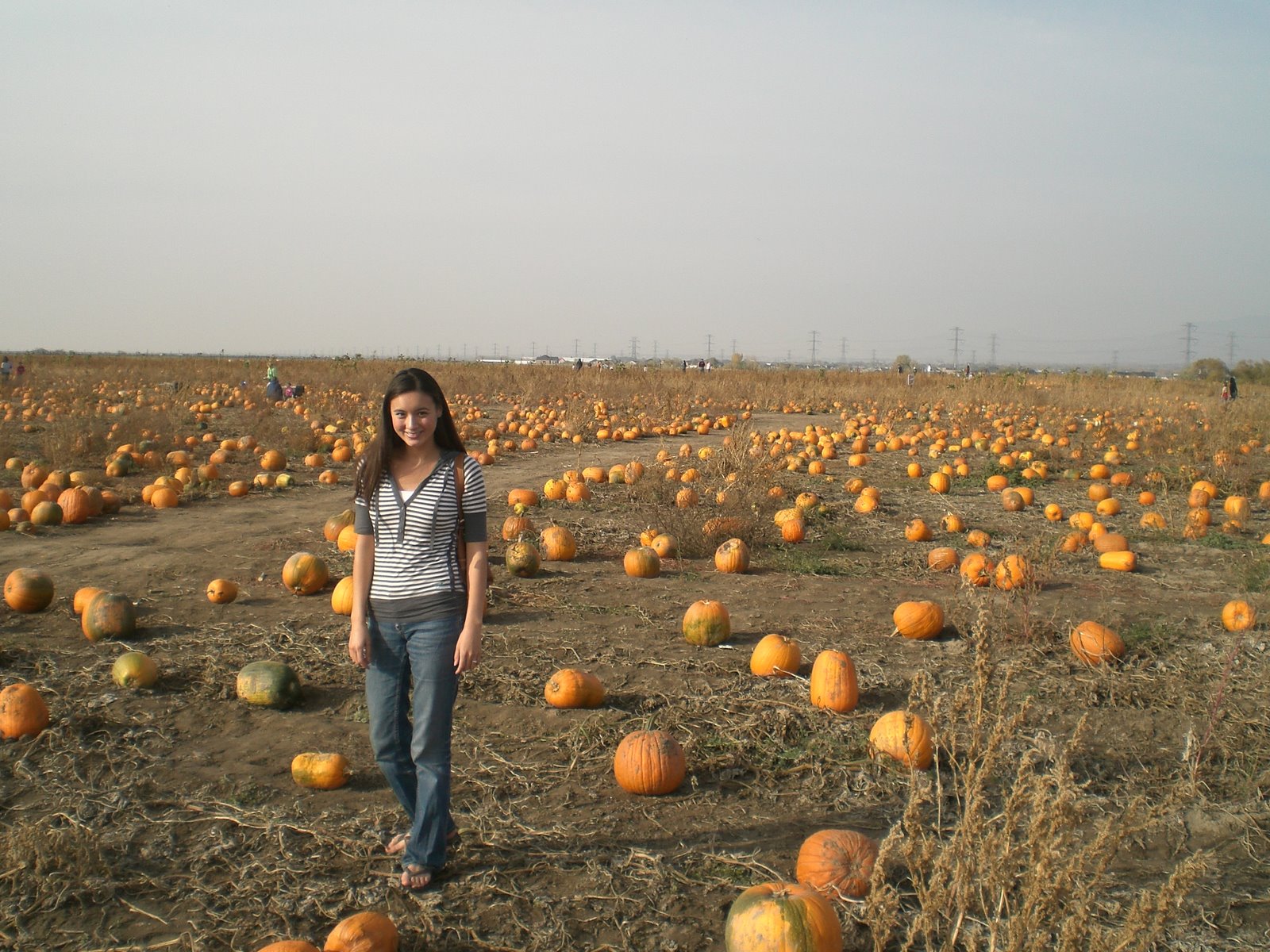 You are currently viewing Pack’s Pumpkin Patch in Farmington, Utah