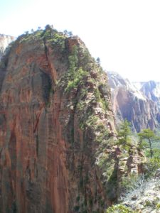 Read more about the article Angels Landing in Zion National Park, Utah