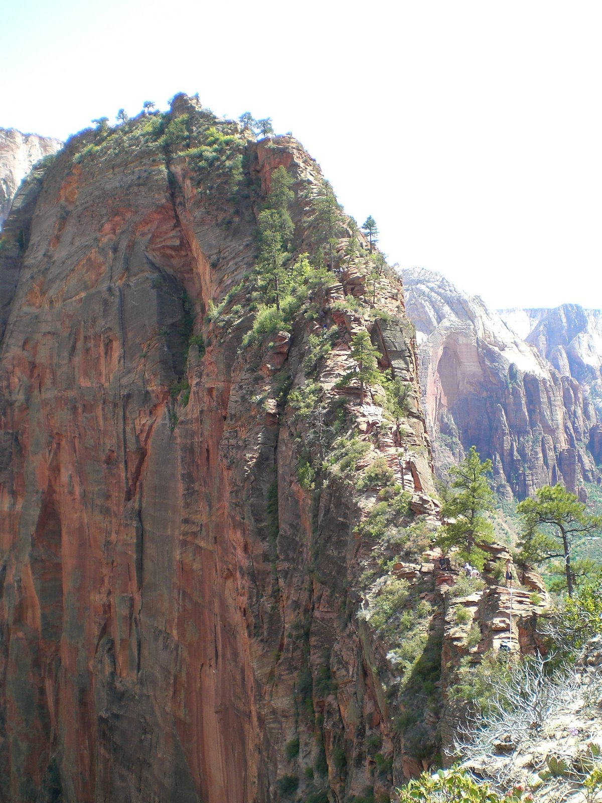 You are currently viewing Angels Landing in Zion National Park, Utah