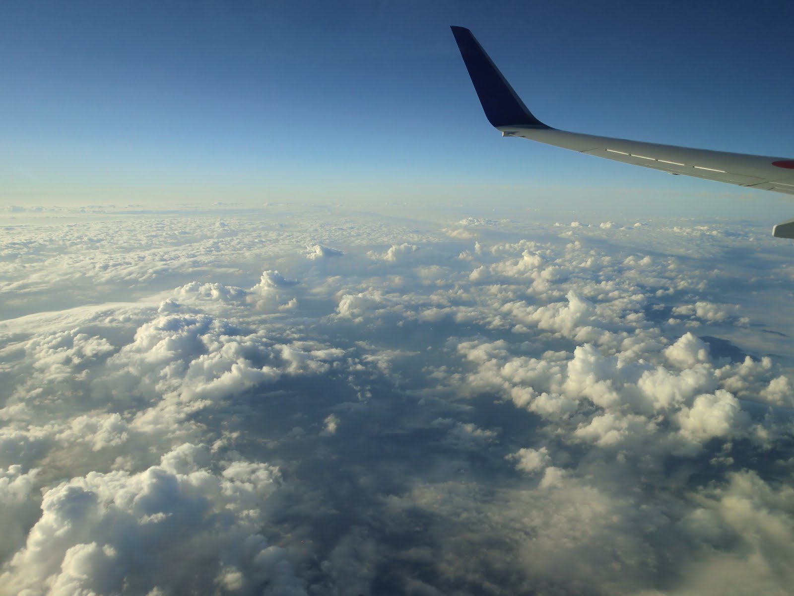 You are currently viewing Flight to Tokyo & Mt. Fuji