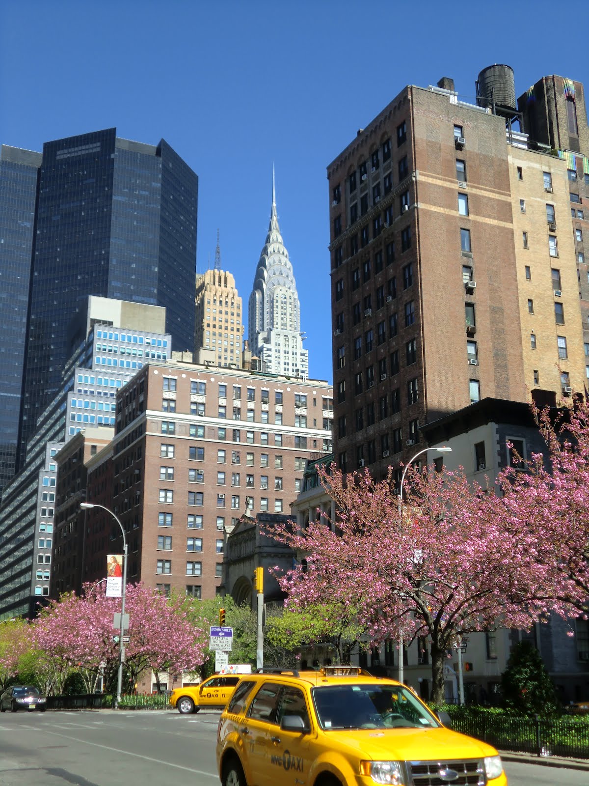 You are currently viewing New York City in the Spring