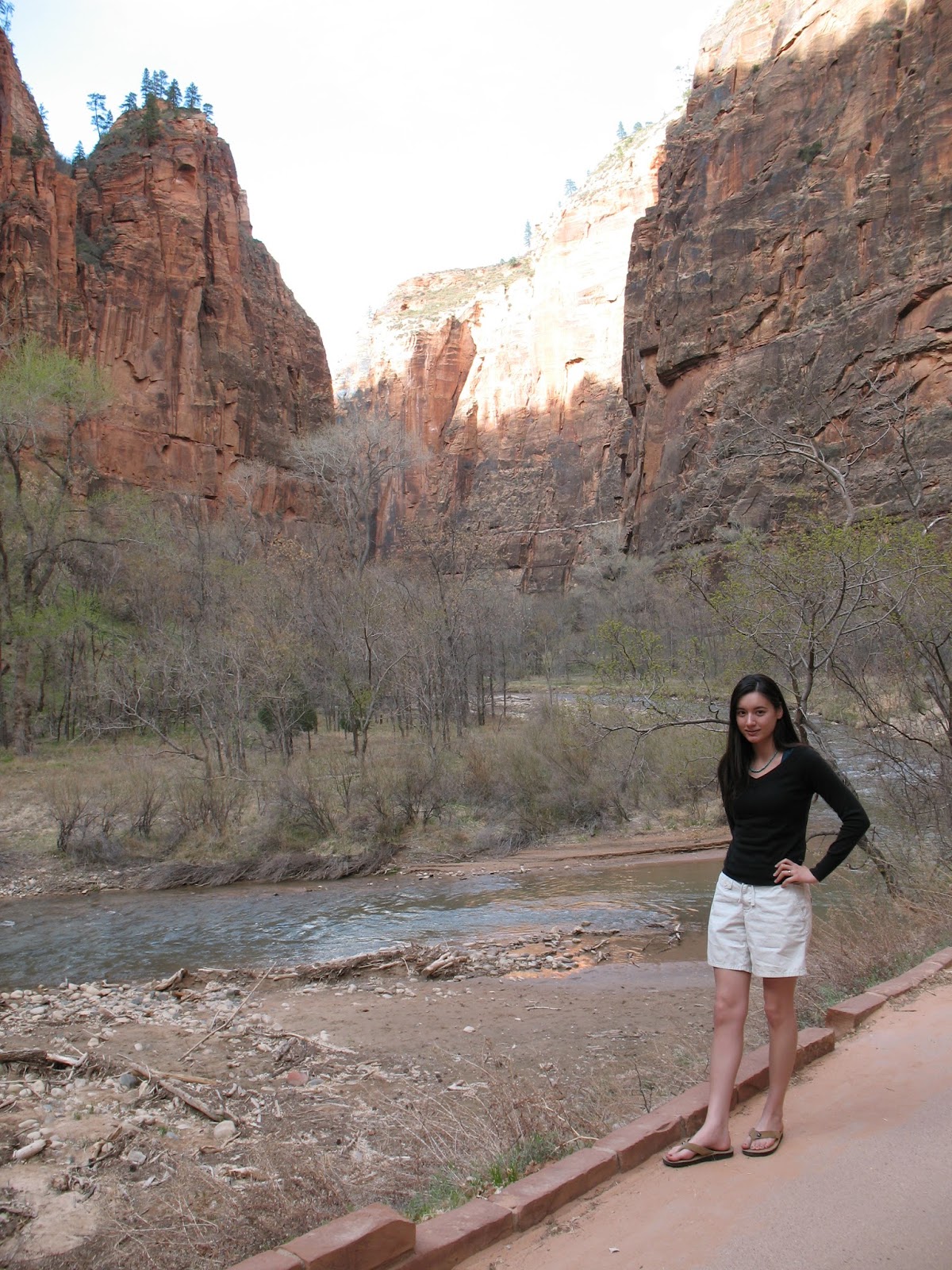 Read more about the article Zion National Park