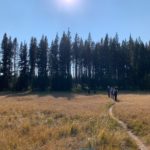 Hike to Riddle Lake, Yellowstone National Park