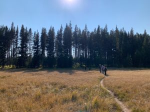 Read more about the article Hike to Riddle Lake, Yellowstone National Park