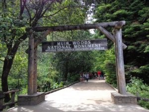 Read more about the article Muir Woods National Monument, California