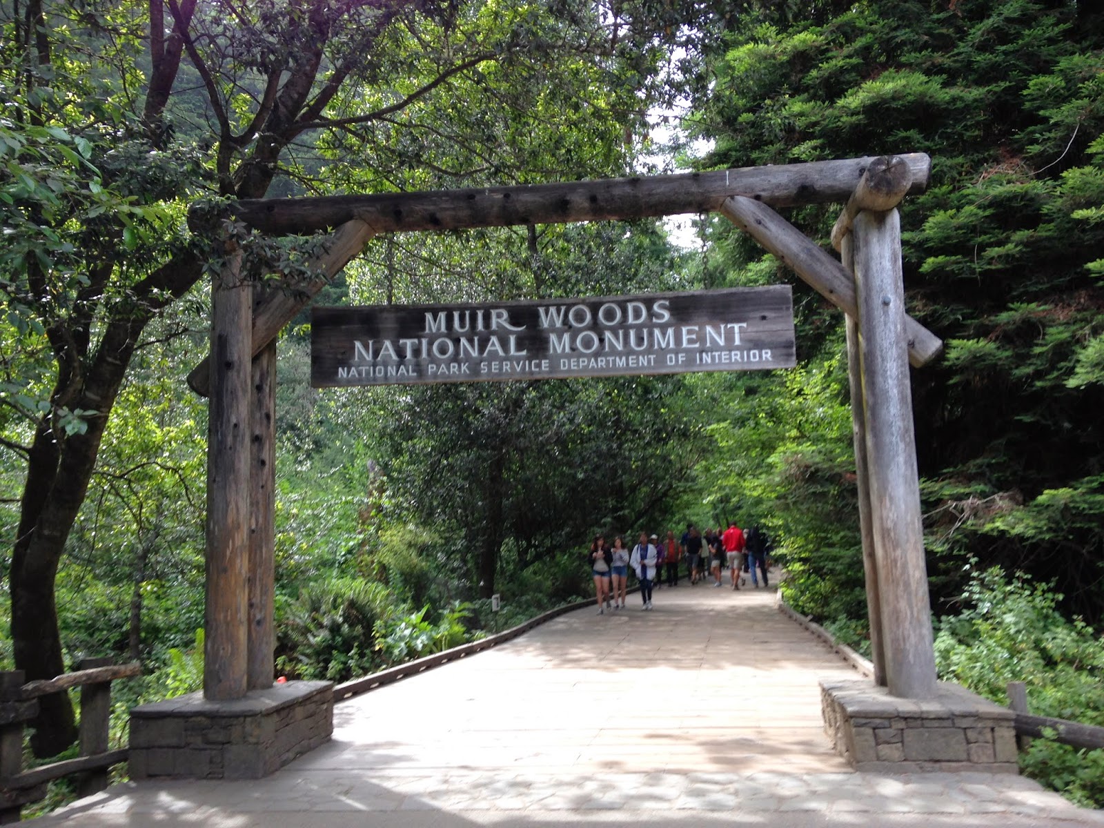 Read more about the article Muir Woods National Monument