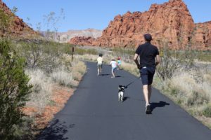 Read more about the article Hiking St George, Utah: Snow Canyon with Blue Dog