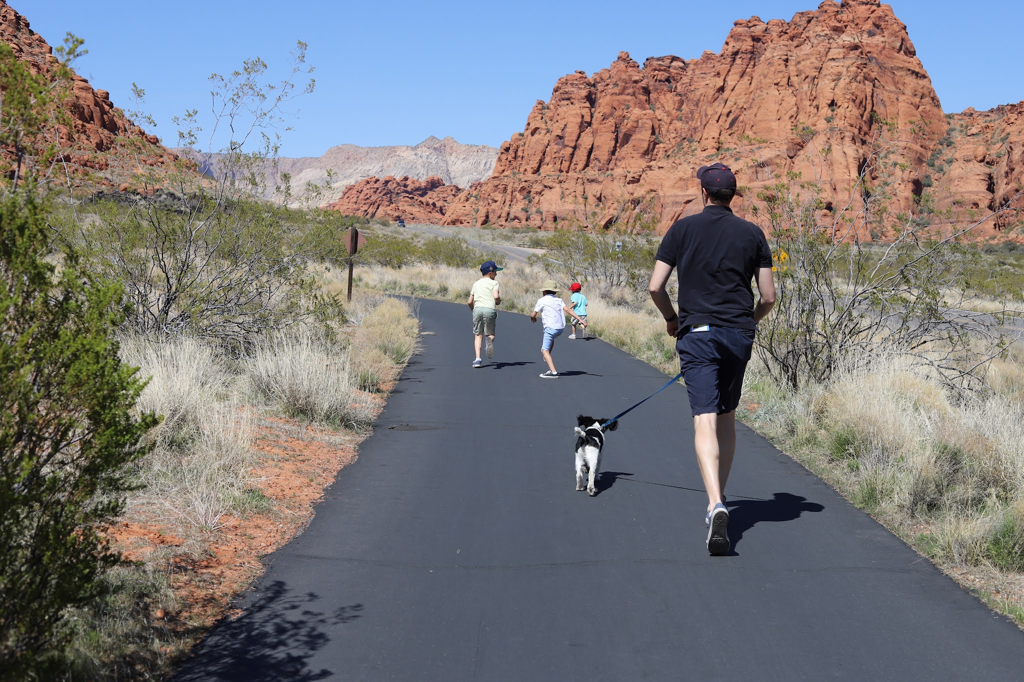 You are currently viewing Hiking St George, Utah: Snow Canyon with Blue Dog