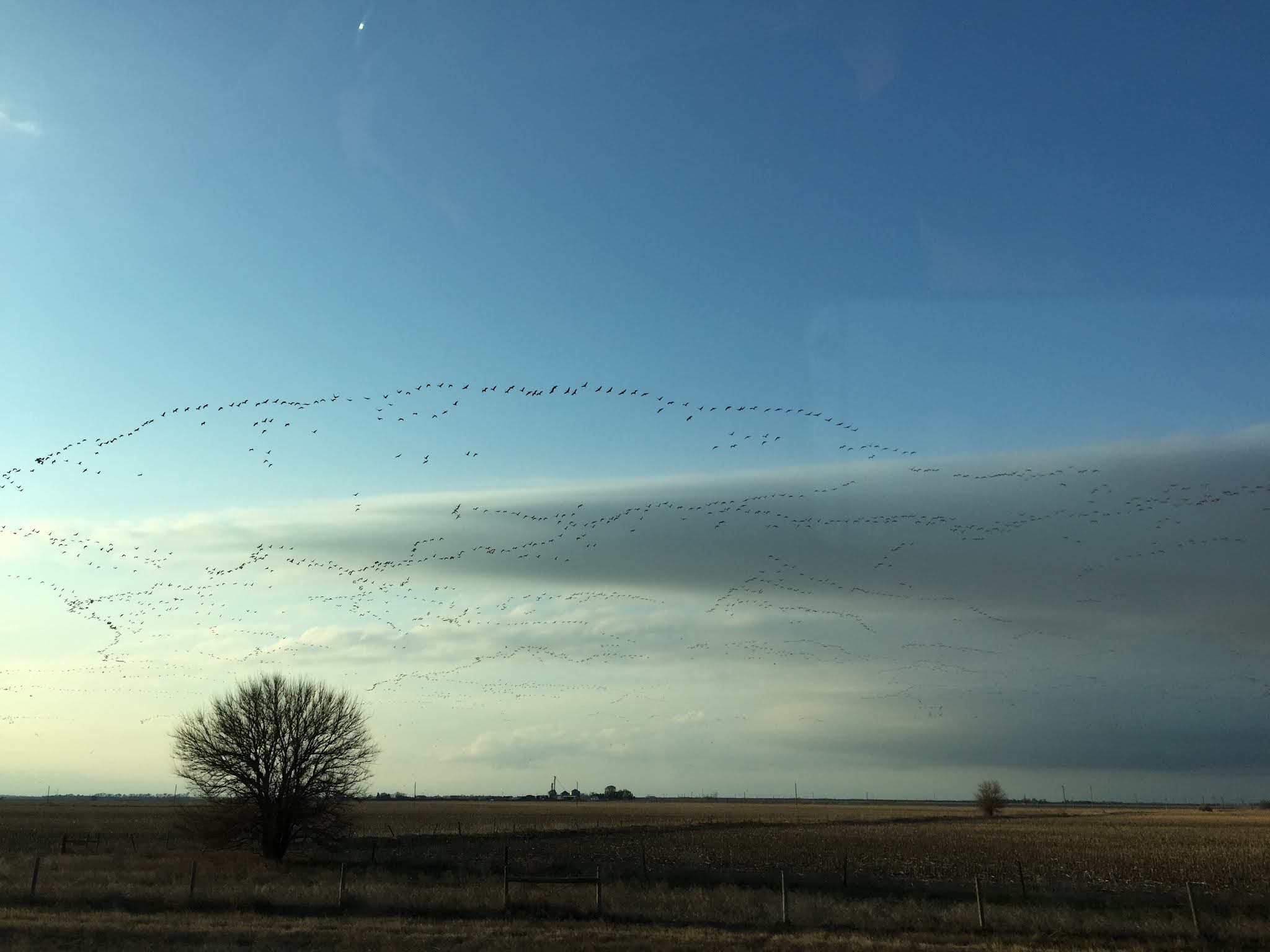 Read more about the article Welcome to Nebraska