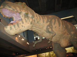 Read more about the article Boston Museum of Science in Massachusetts