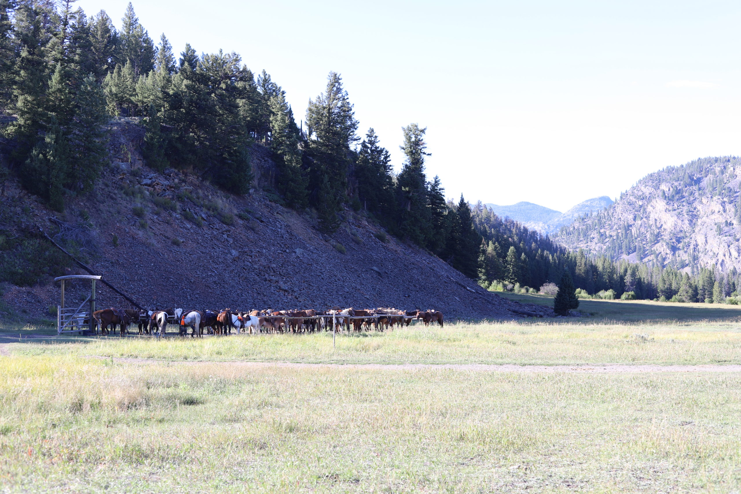 You are currently viewing Yellowstone Chuck Wagon Cookout at Roosevelt Ranch