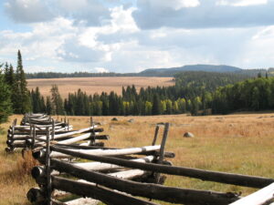 Read more about the article Tushar Mountains & Beaver City, Utah