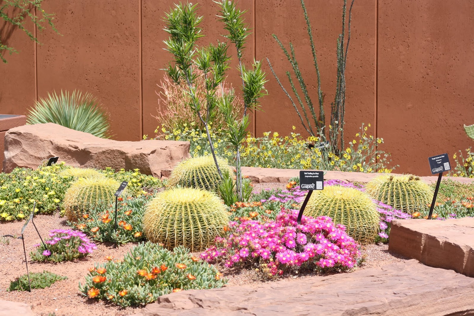 Read more about the article Red Hills Desert Garden in St. George, Utah