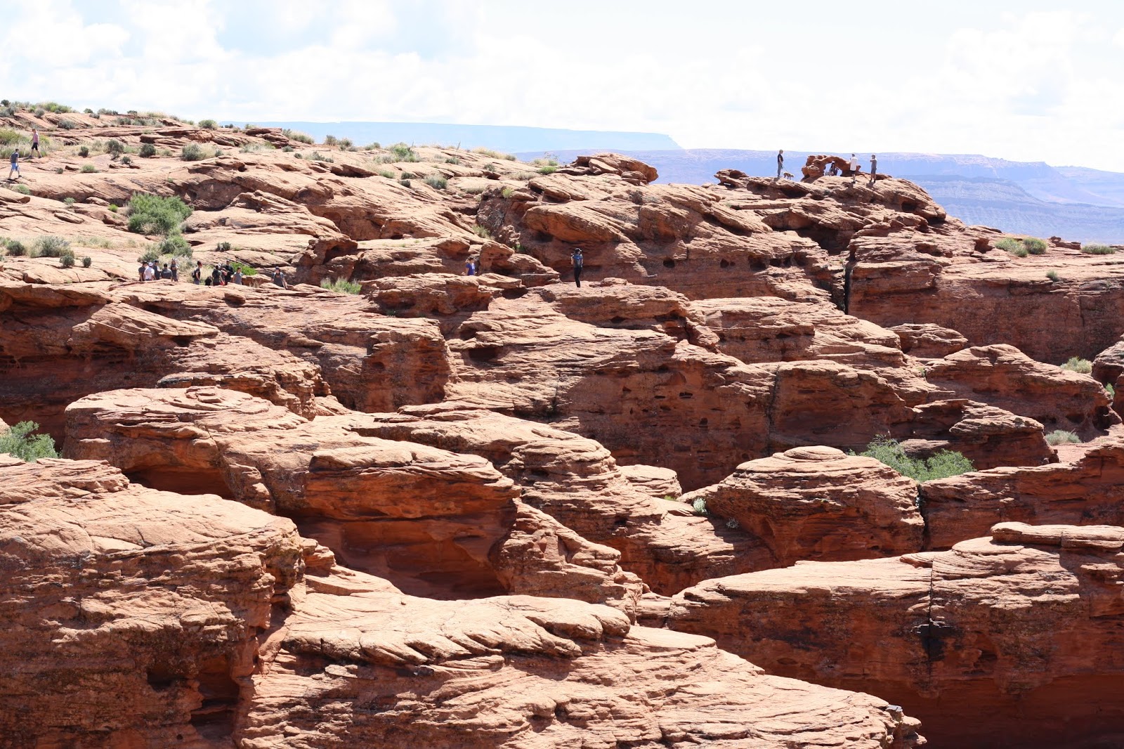 You are currently viewing Red Rocks & Petroglyph Park