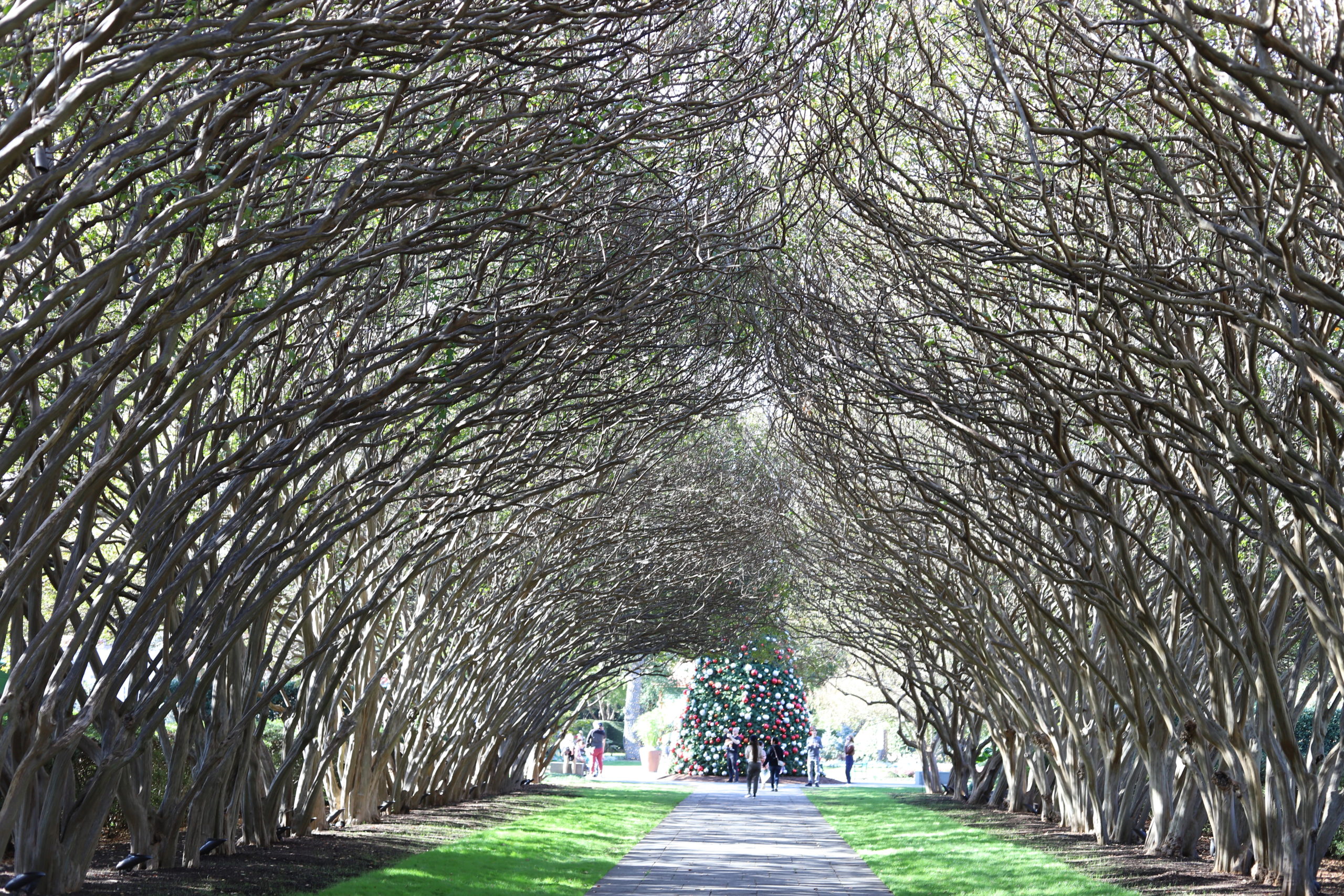 You are currently viewing Dallas Arboretum & Botanical Garden, Texas