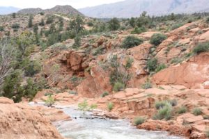 Read more about the article Gunlock State Park