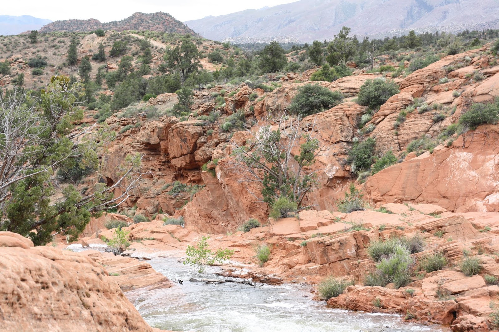 You are currently viewing Gunlock State Park