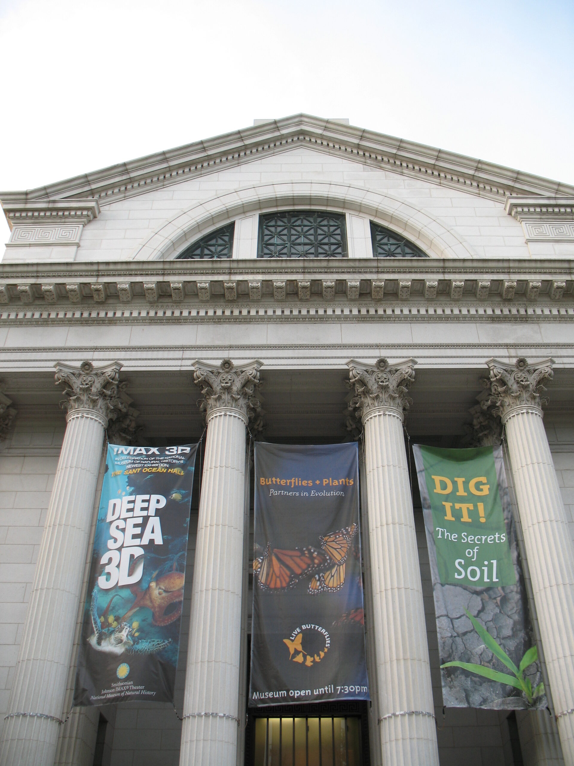 Read more about the article Smithsonian Natural History Museum in Washington, DC