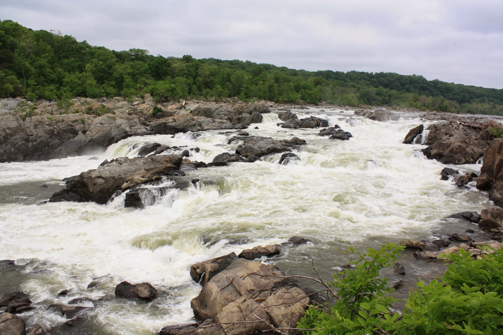 You are currently viewing National Mall & Great Falls in Washington DC