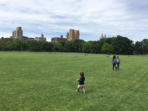 Read more about the article Sheep Meadow in Central Park
