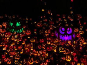 Read more about the article Jack-O-Lantern Spectacular at the Minnesota Zoo