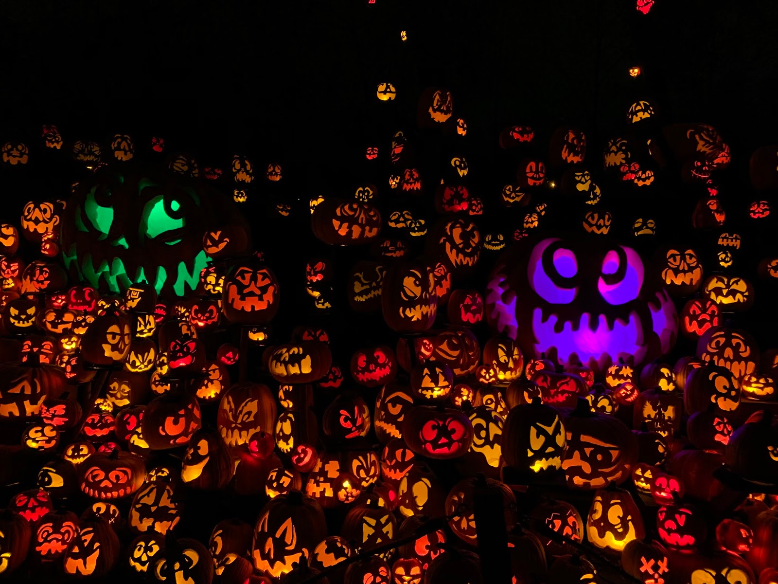 Read more about the article Jack-O-Lantern Spectacular at the Minnesota Zoo