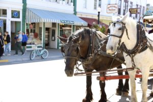 Read more about the article Mackinac Island, Michigan with Kids: Horse Carriages & Bike Rides