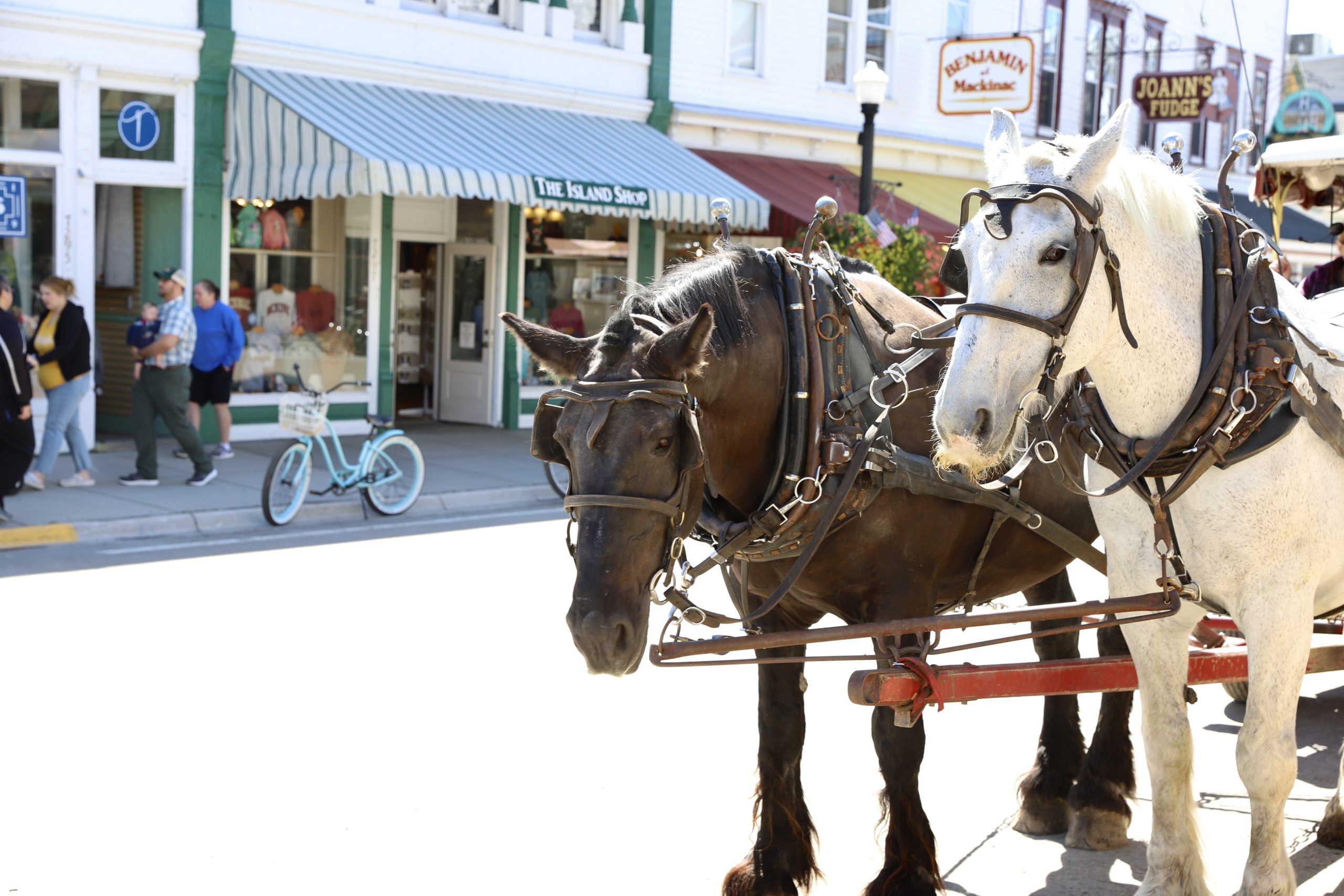 You are currently viewing Mackinac Island, Michigan with Kids: Horse Carriages & Bike Rides