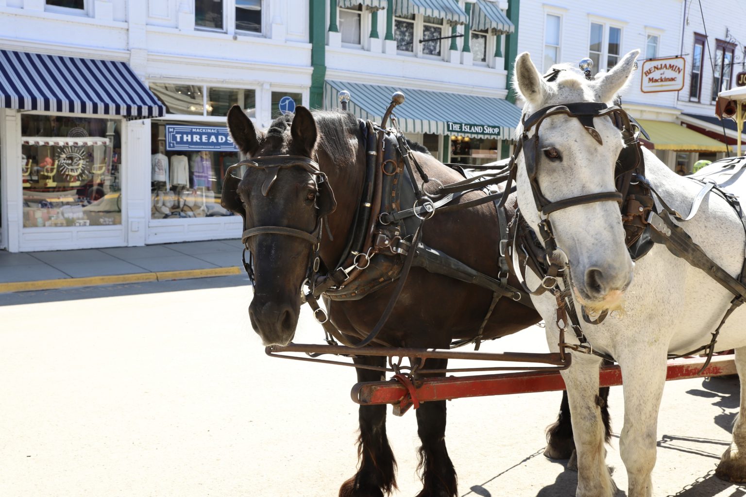 Mackinac Island with Kids: Horse Carriages & Bike Rides | CVGO