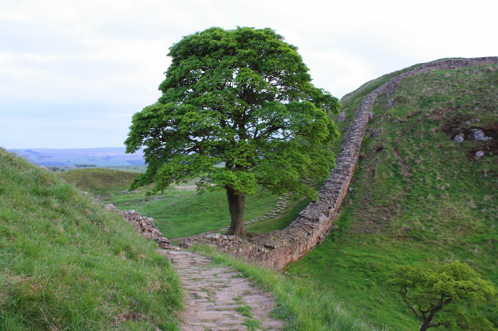 You are currently viewing Hadrian’s Wall at Steel Rigg in Northumberland National Park