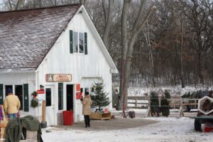 Read more about the article Krueger’s Christmas Tree Farm in Lake Elmo, Minnesota