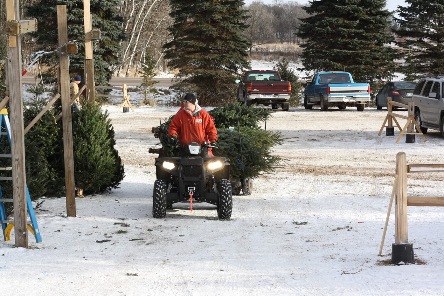 Krueger's Christmas Tree Farm in Lake Elmo, Minnesota | CVGO
