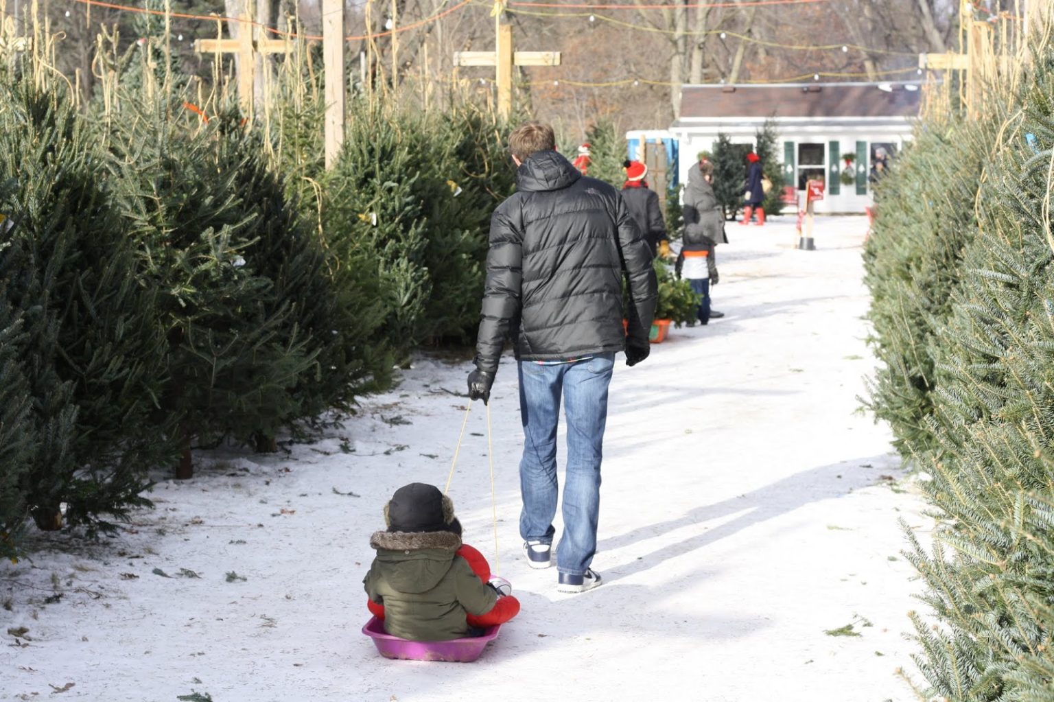 Krueger's Christmas Tree Farm in Lake Elmo, Minnesota | CVGO