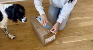 Read more about the article Author Unboxing Reel: Baby Go! Mexico and France