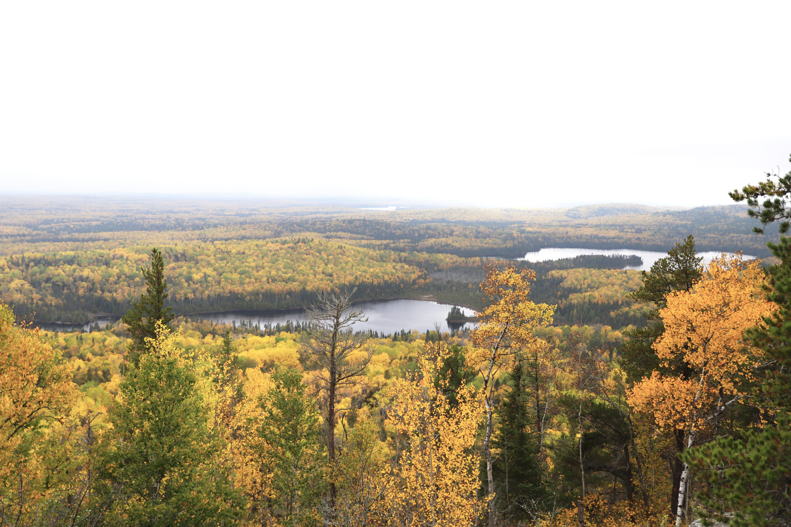 Read more about the article Hiking Minnesota: Autumn Leaves on Eagle Mountain, Boundary Waters Canoe Area Wilderness & Superior National Forest