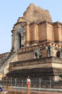 Read more about the article Wat Chedi Luang & the Sunday Market