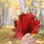 Hiking Minnesota: Fall Colors on the Superior Hiking Trail