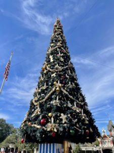 Read more about the article Christmastime in the Magic Kingdom, Disney World