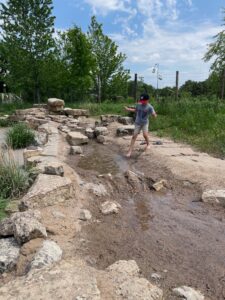 Read more about the article Tamarack Nature Center, Minnesota