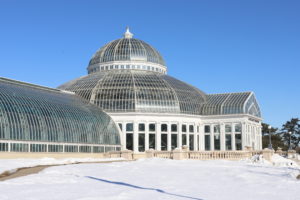 Read more about the article Minnesota’s Como Zoo & Conservatory: Winter Flower Show