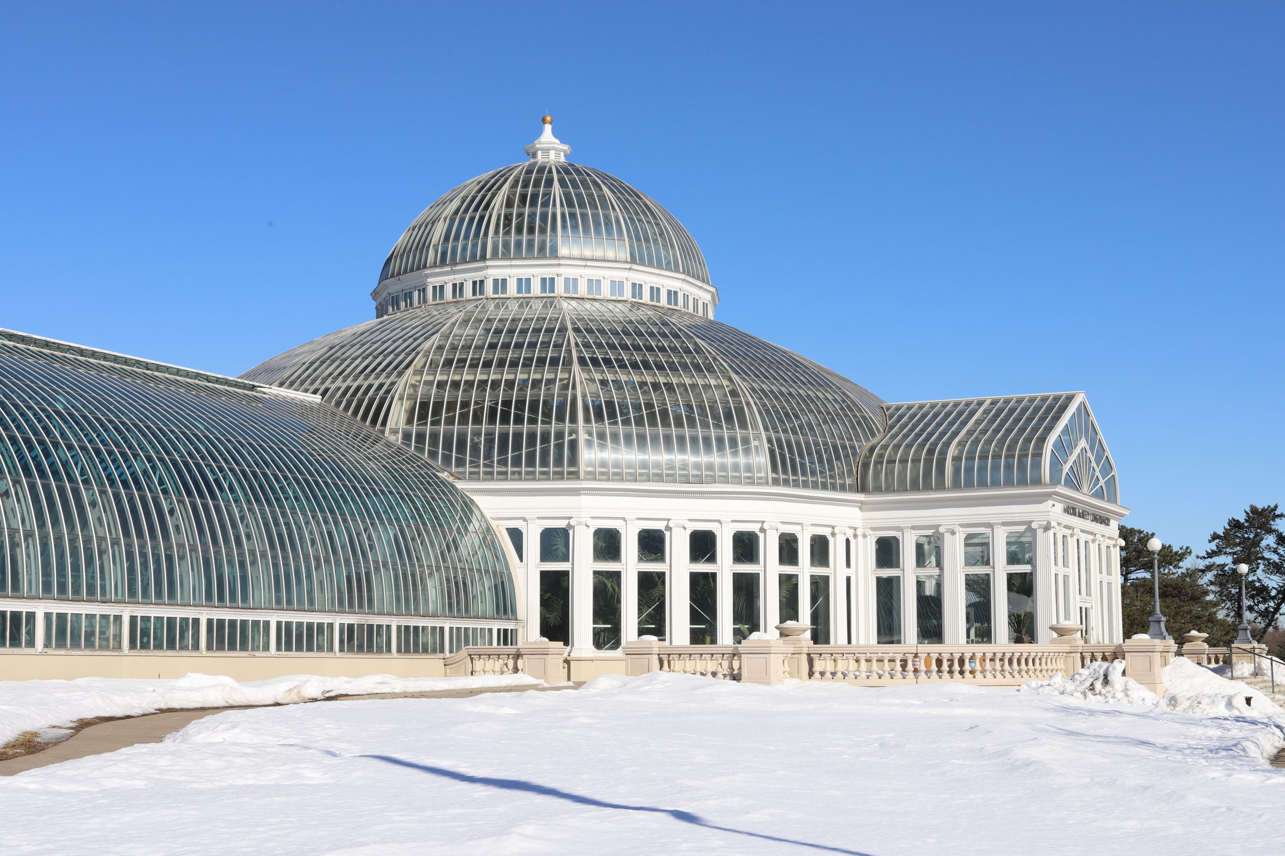 You are currently viewing Minnesota’s Como Zoo & Conservatory: Winter Flower Show