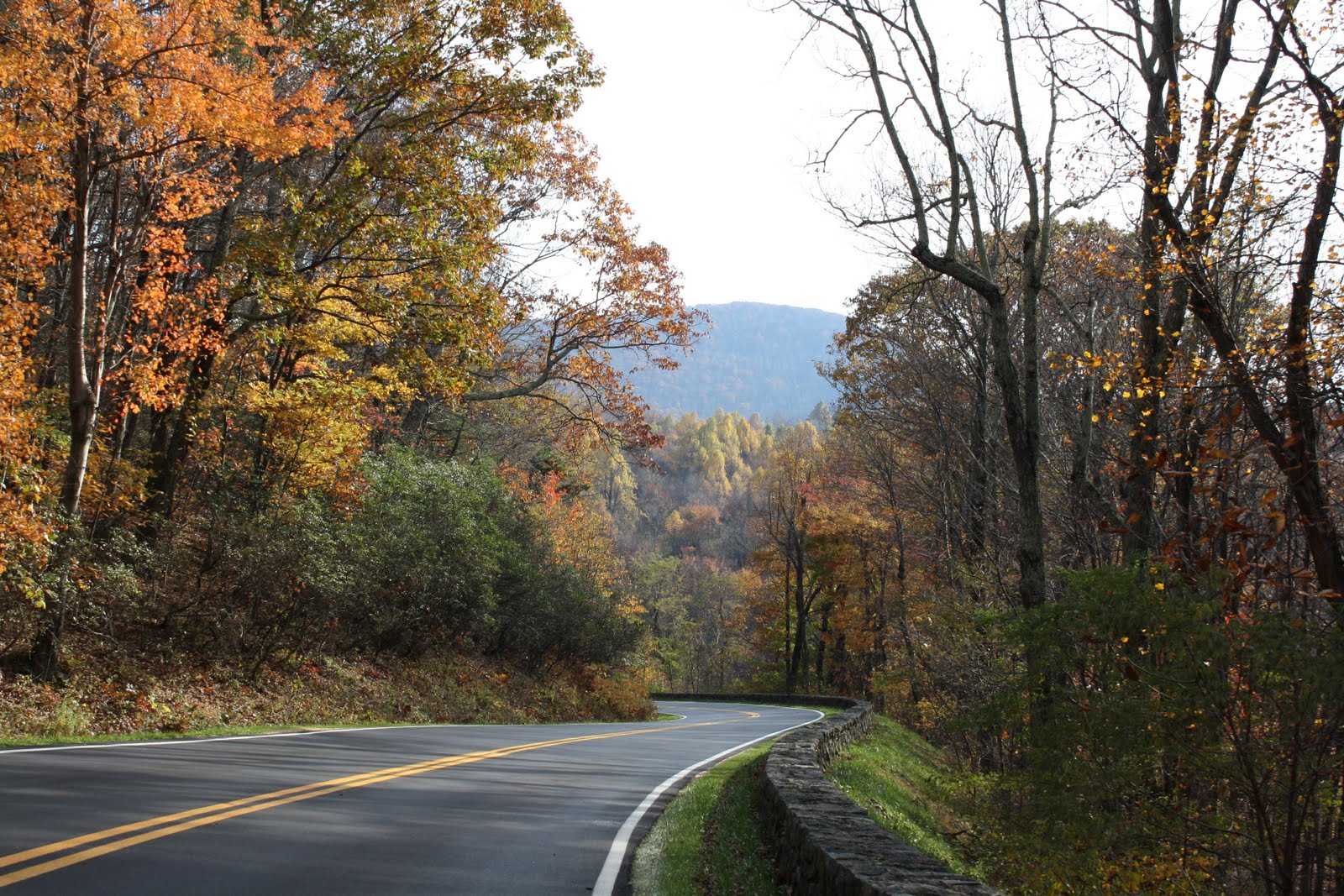 Read more about the article Fall Colors in Shenandoah National Park, Virginia