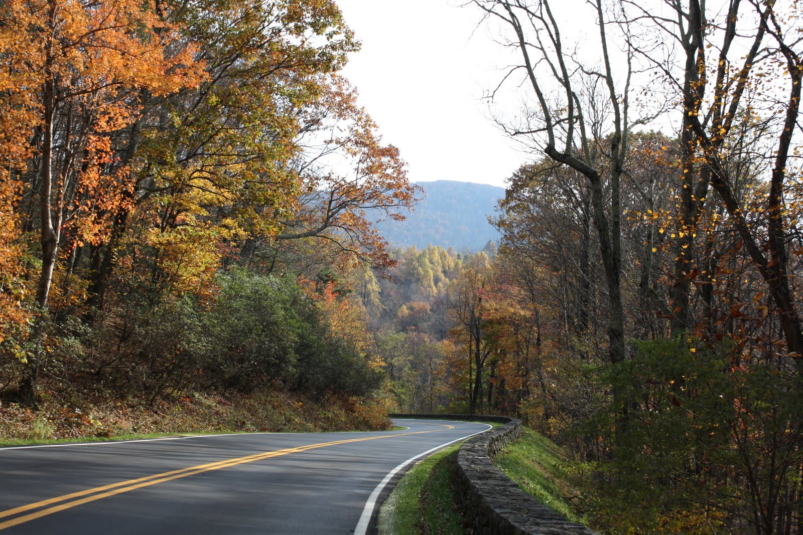 You are currently viewing Fall Colors in Shenandoah National Park, Virginia